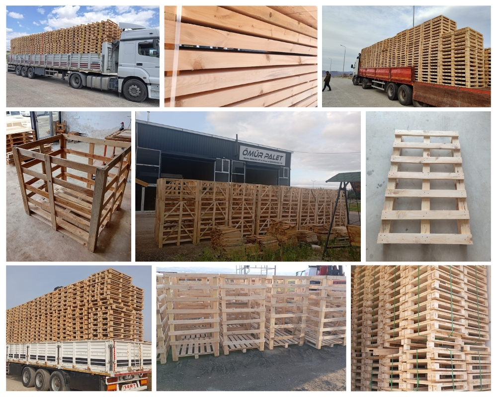 Halsteren Houten Kisten, Europallets Groothandel Kopen